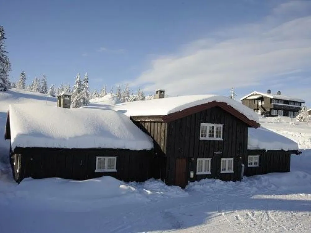 Bjønnstua Skurufjellet 1175A