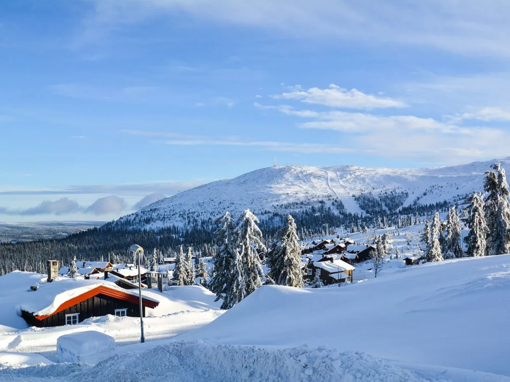 Skurufjellet Hytter 1180B