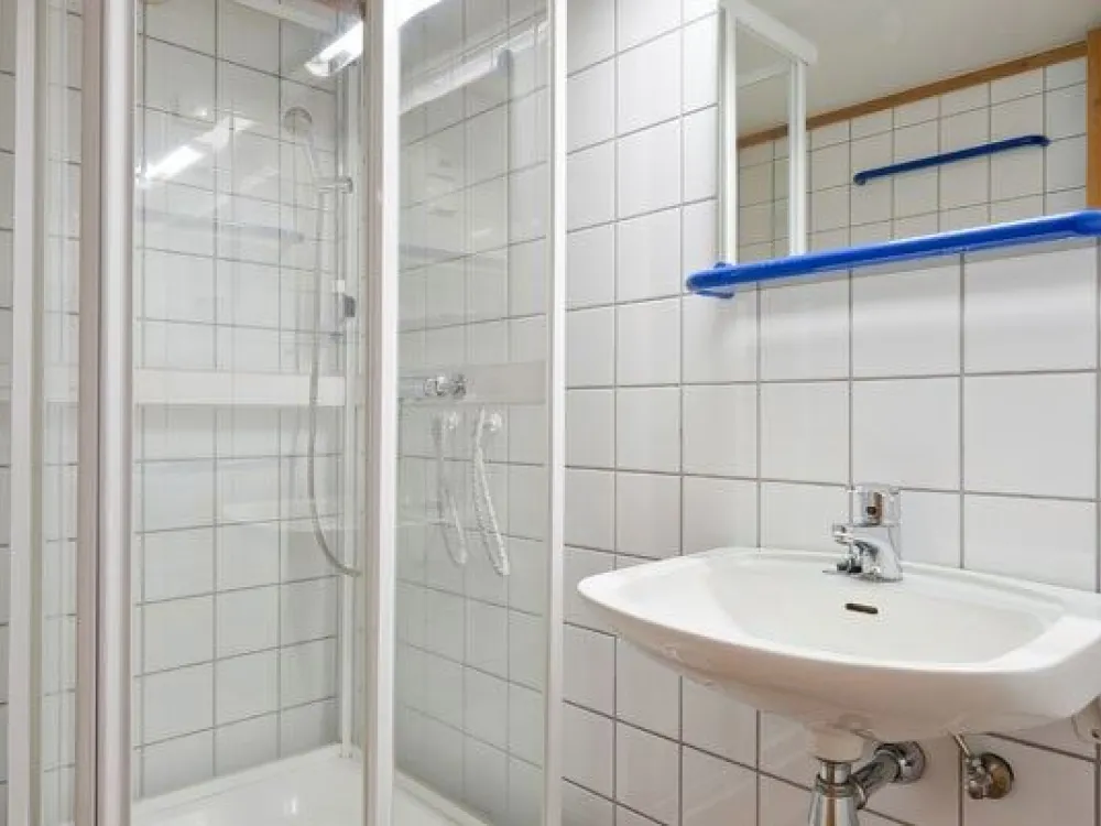 Alpin Apartment 10