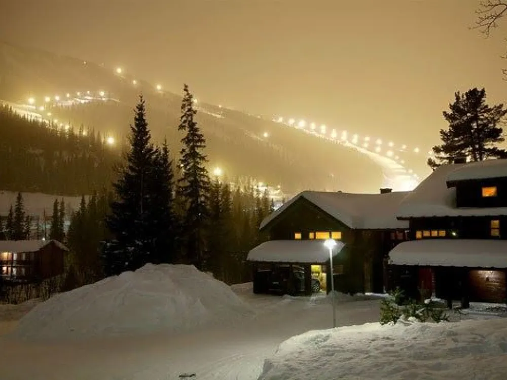 Alpin Apartment 12