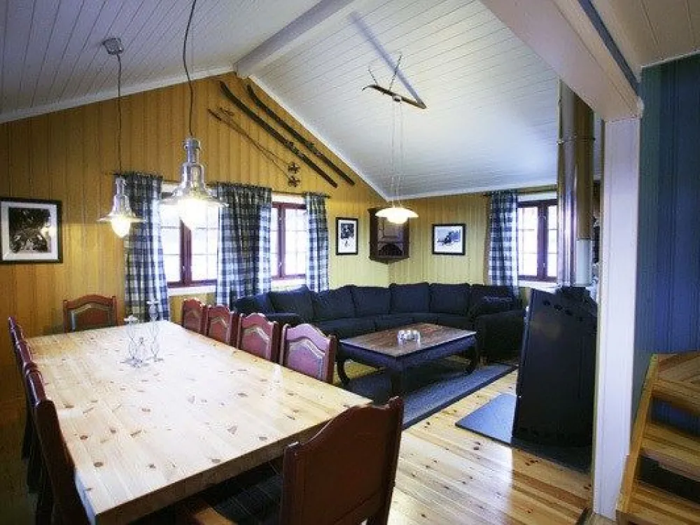 TROLLSTUA TTR729A