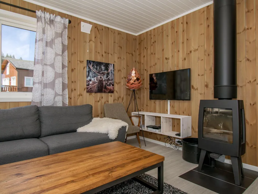 TRYSILFJELLET ARENA 119