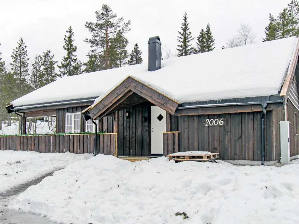 TRYSILFJELL HYTTEOMRÅDE TTM2006