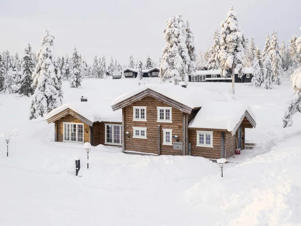 TRYSILFJELL HYTTEOMRÅDE TTM2008